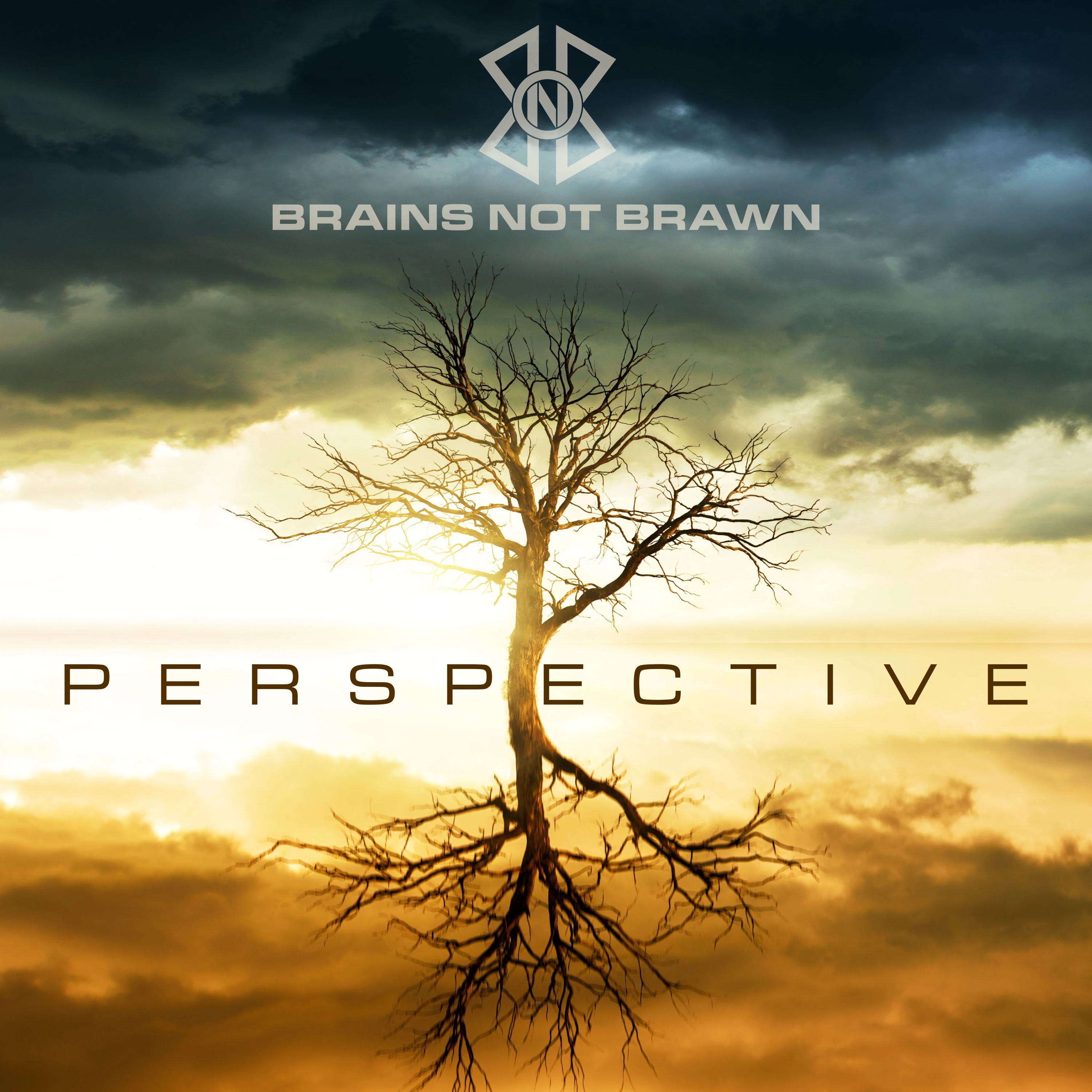 Perspective Album Cover